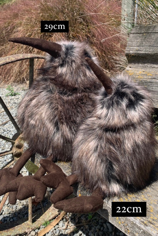 29cm and 22cm Brown Kiwis
