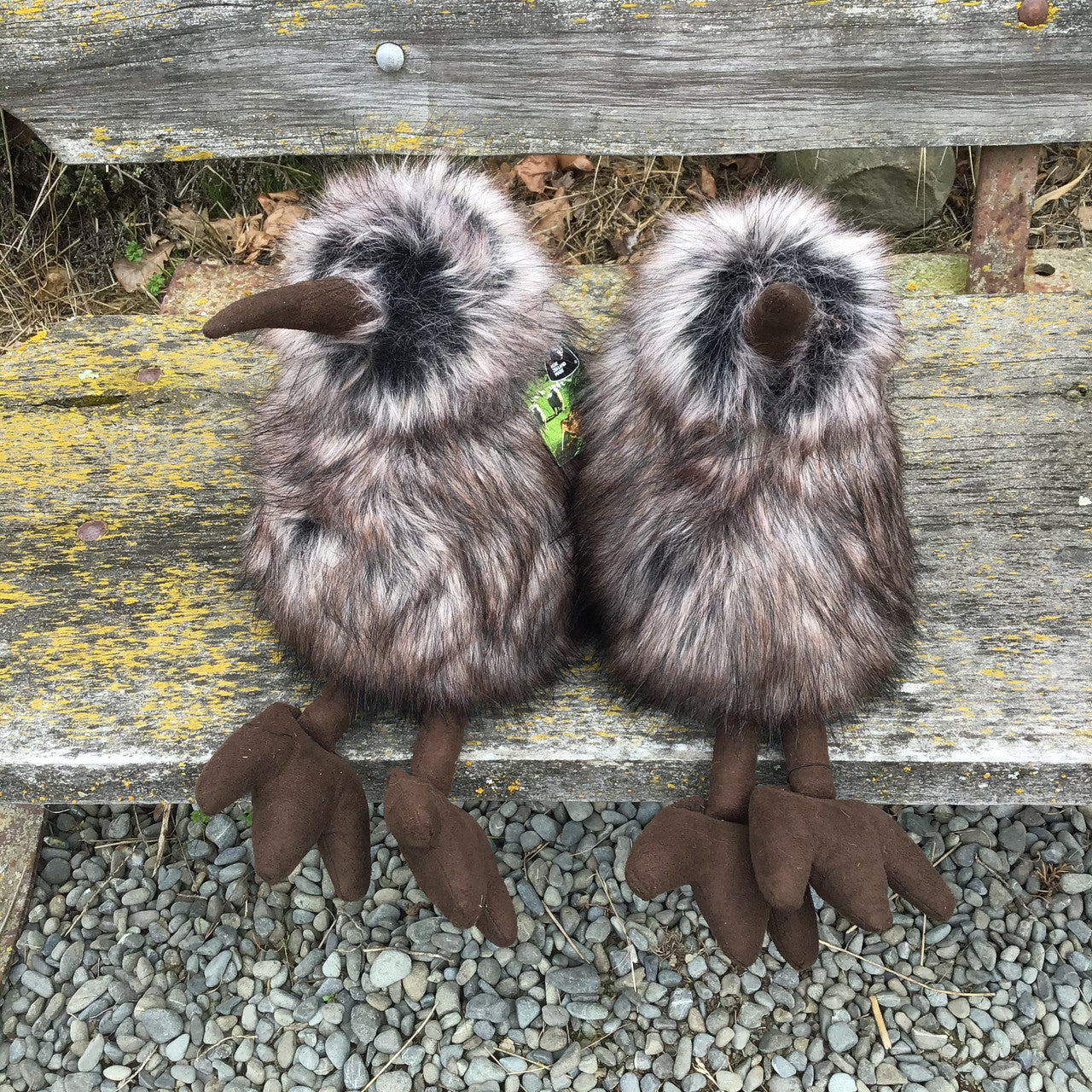 22cm Brown Kiwi