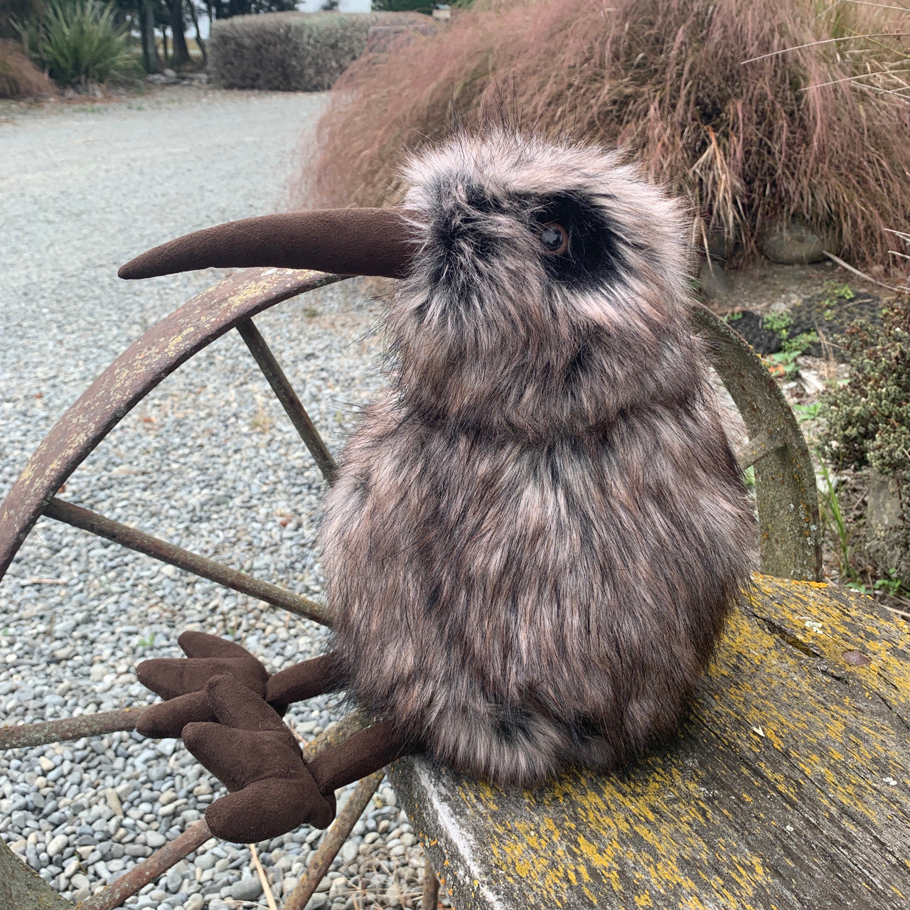 29cm Brown Kiwi
