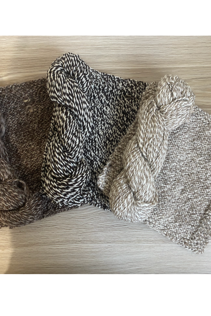 Black Hills - Natural Coloured Undyed 10ply Fleck Wool (BHFLECK)