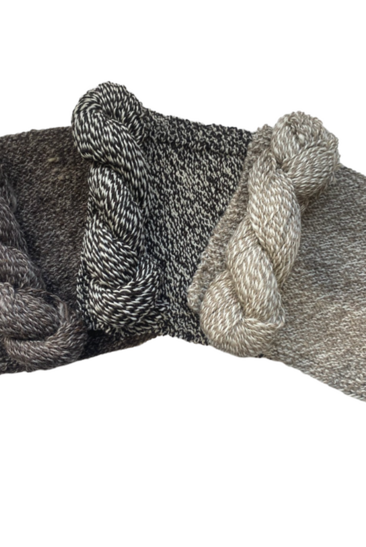 Black Hills - Natural Coloured Undyed 10ply Fleck Wool (BHFLECK)