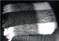 'Windermere' Natural Brushed Alpaca Throw - Fresian