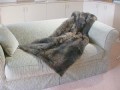 20 Skin Single Bed Possum Skin Throw