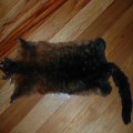 Single Possum Skin Pelt