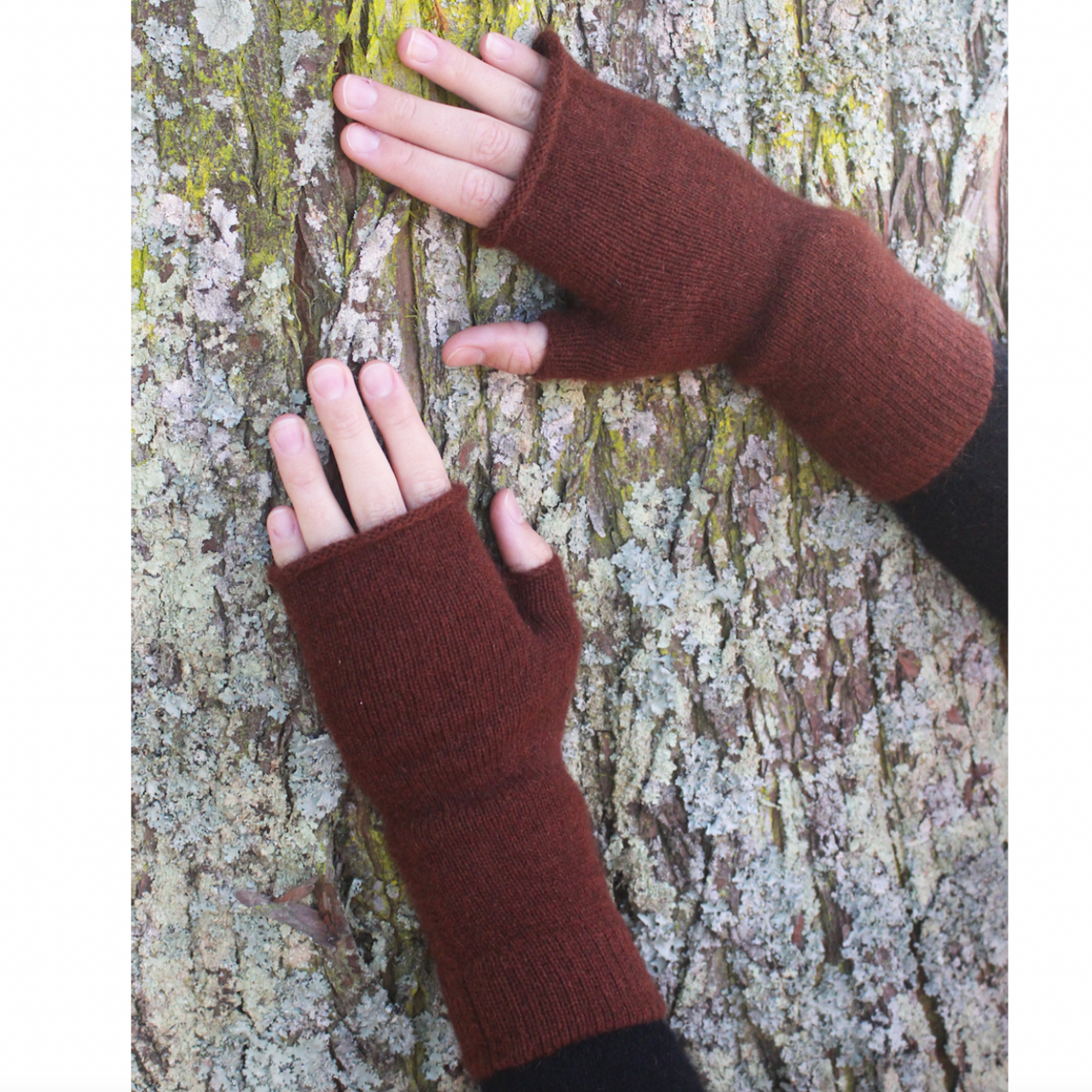 Russet(9897)