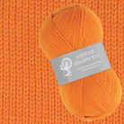 Ashford Double Knit 100g Yarn (ADK)