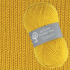 Ashford Double Knit 100g Yarn (ADK)