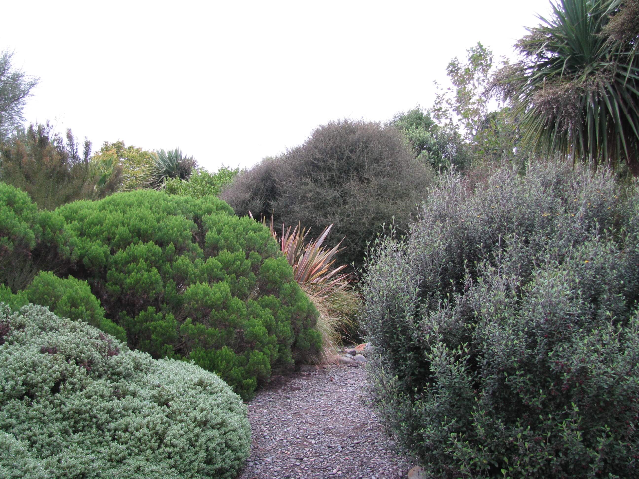 3.follow-the-path.jpg 3.follow-the-path.jpg