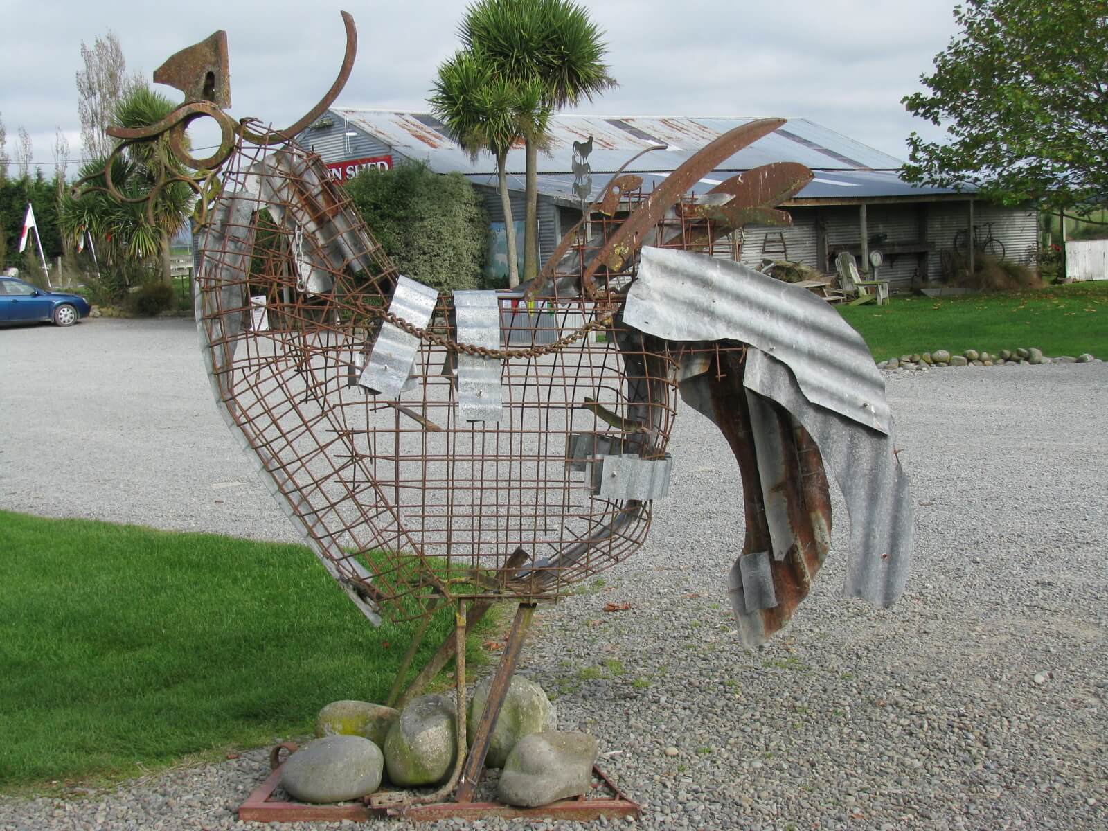 8.steelie-the-rooster.jpg 8.steelie-the-rooster.jpg